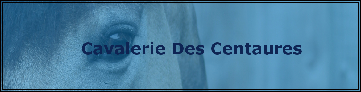 DIVINE EQUITATION (PADD) - Cusset