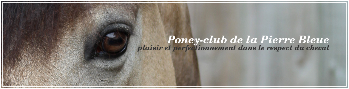 CAVALIERS DE LA PIERRE BLEUE - L'EQUITATION POUR TOUS - Vay