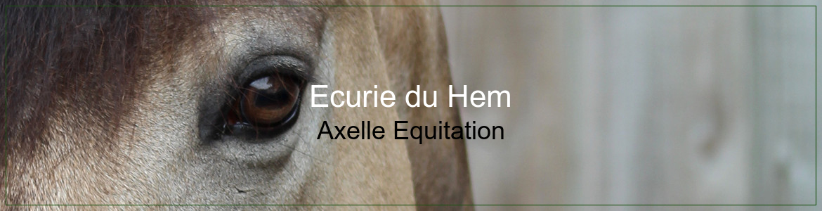 AXELLE EQUITATION (AXELLE EQUITATION) - Mons-En-Pevele