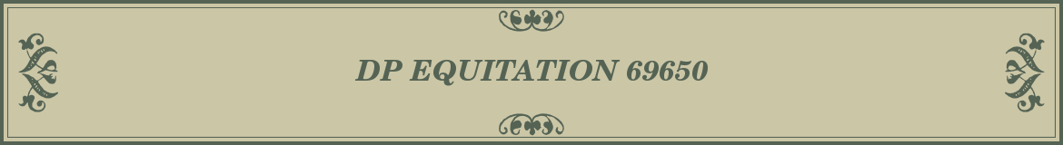 DP EQUITATION - Quincieux