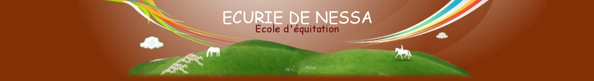 NEUFCHATEAU EQUITATION - Neufchateau