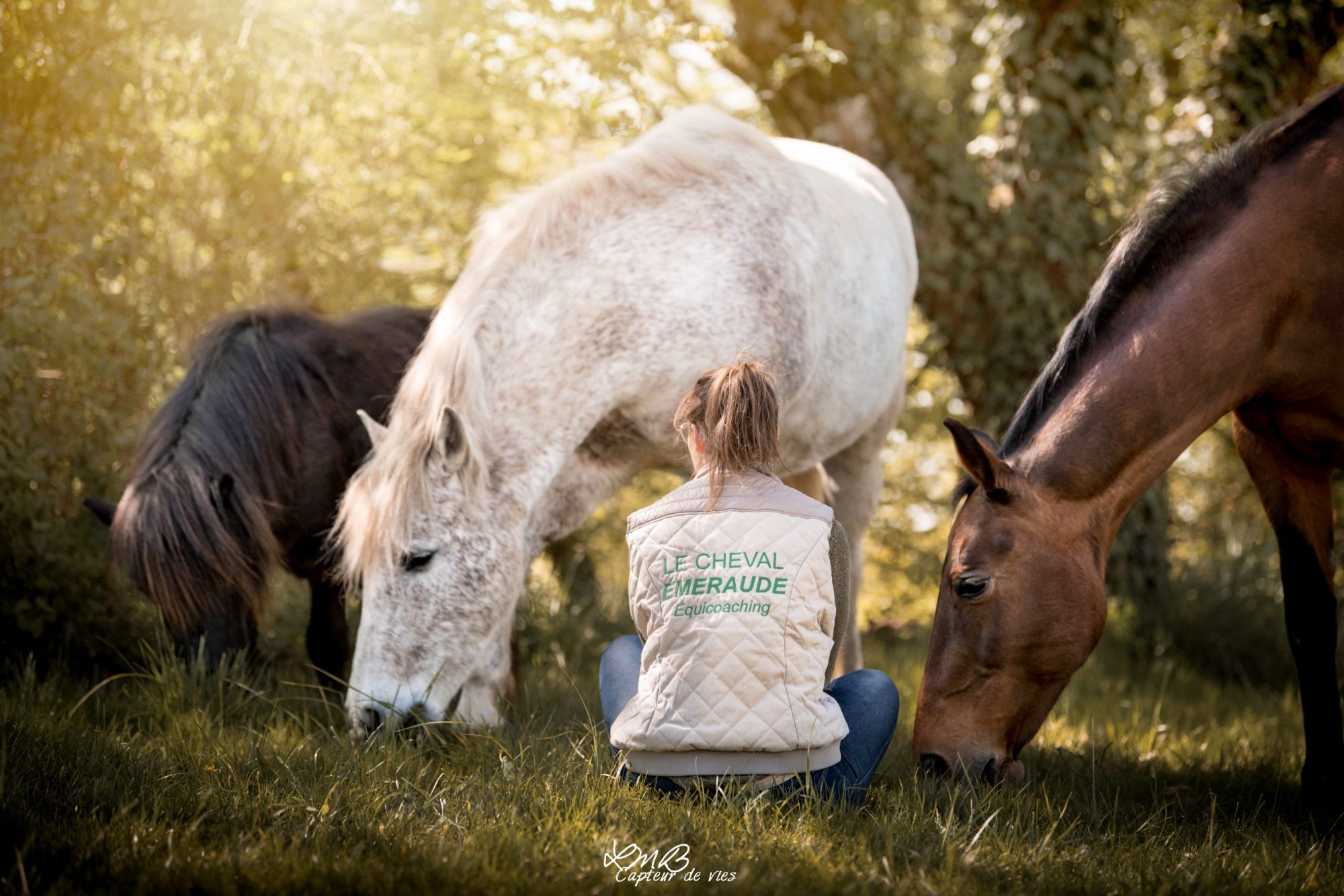 HARAS DU BECA - Marigny-Le-Lozon
