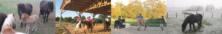 HARAS DE SAY (HARAS DE SAY) - Evron