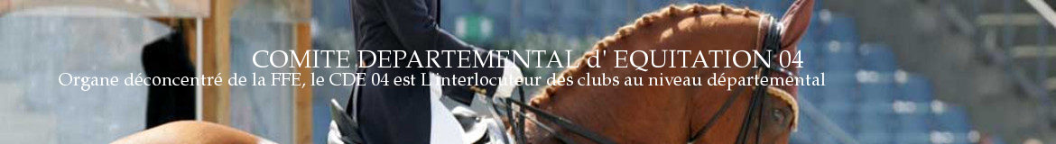 BASANNE EQUITATION (BASANNE) - Manosque