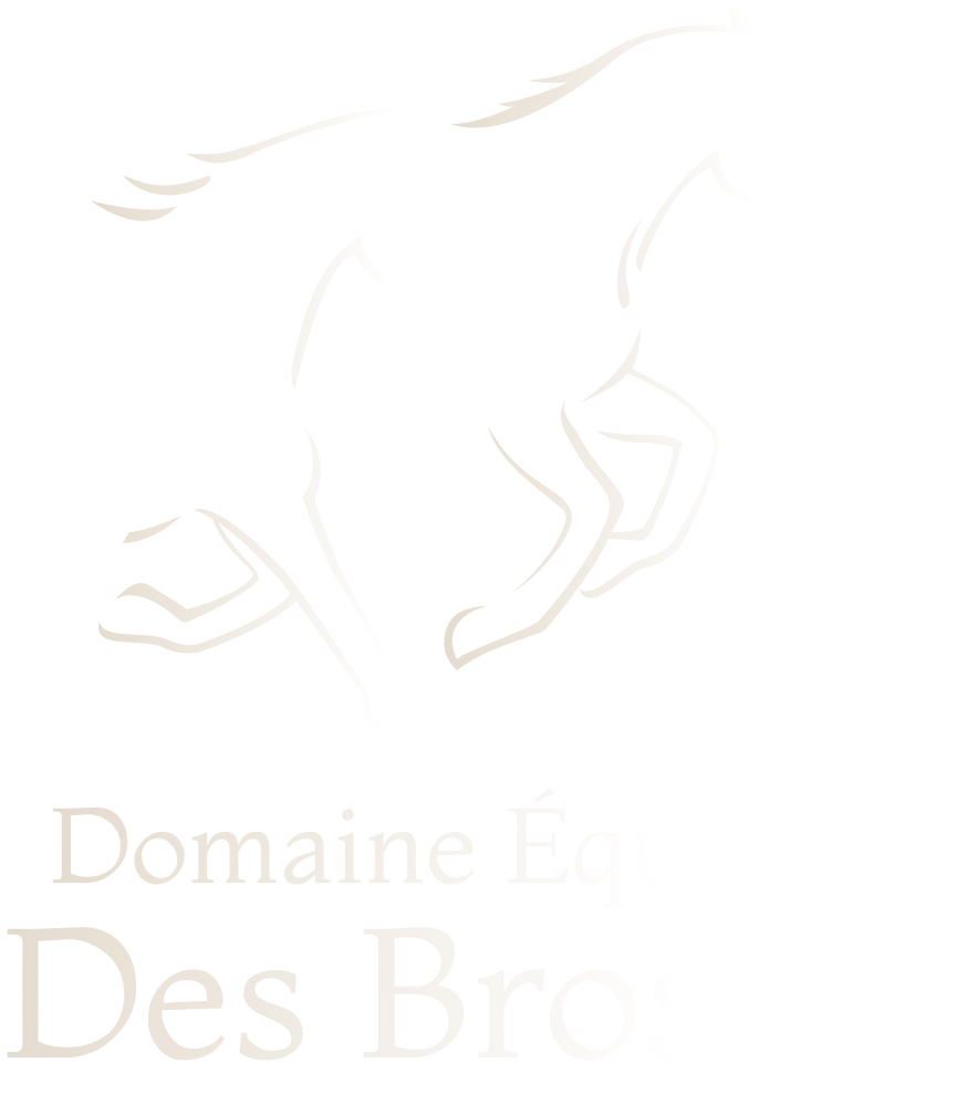 HARAS QUALESCY - Coullons