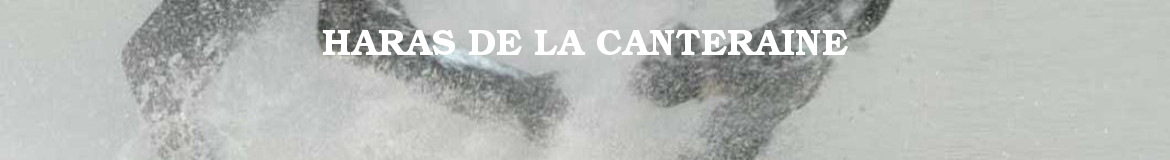 HARAS DE LA CANTERAINE (HARAS DE LA CANTERAINE) - Haubourdin