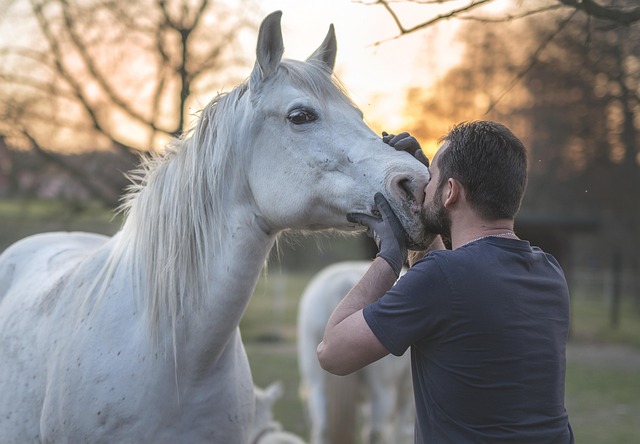 Akhal-Teke