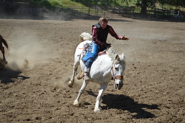 Quarter Horse
