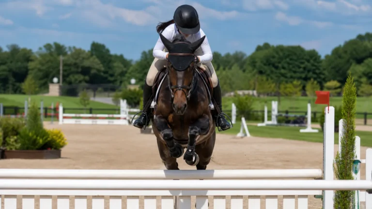 Pourquoi Charlotte Casiraghi monte à cheval chaque matin a 6h