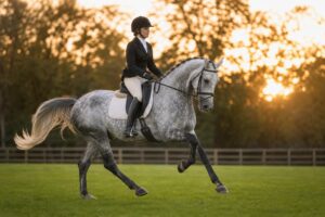 Les 3 allures : pas, trot, galop