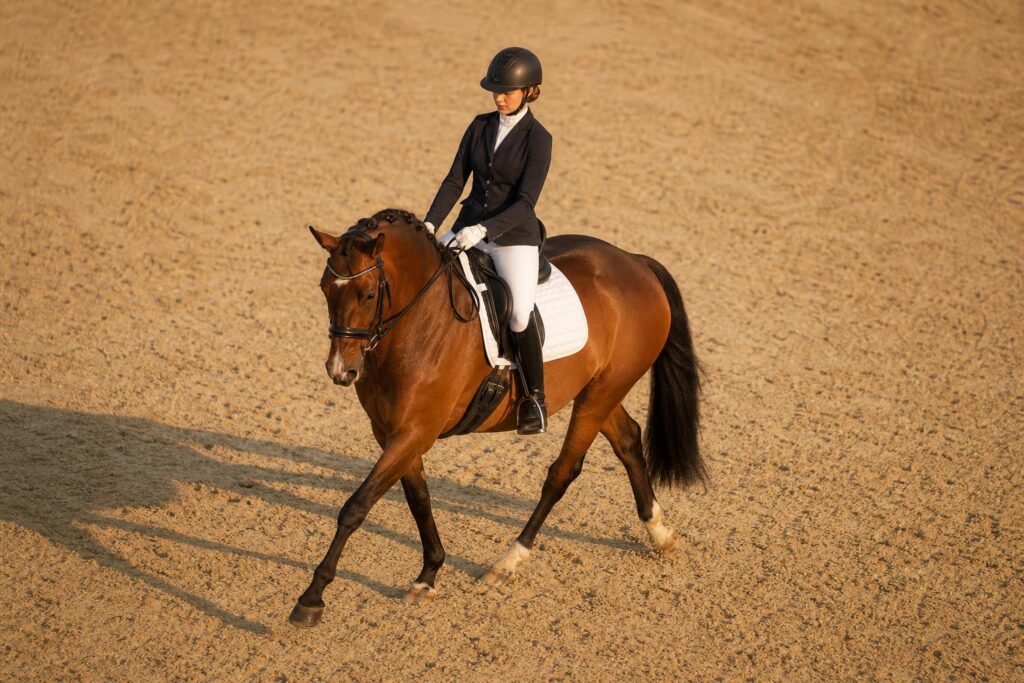 Dressage