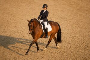 Les figures de manège : volte, demi-volte, diagonale