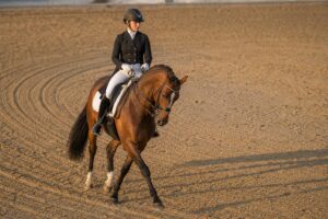 Cercles et serpentines en dressage