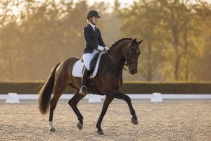 La reprise de dressage Galop 5