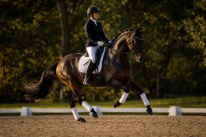Les changements de pied au galop en l&rsquo;air