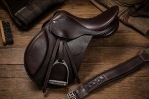 La selle : parties et types