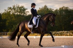 Le protocole de concours de dressage