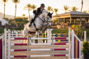 Les types d obstacles en CSO