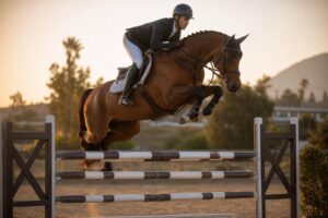 Les 5 phases du saut