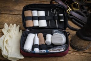 Checklist : la trousse de premiers soins du cheval