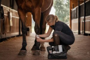 Les premiers soins : plaies, boiteries, coliques