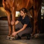 G2 – Les parties du membre