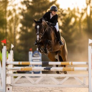 G3 – Le saut d&rsquo;obstacles