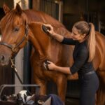 G3 – Le pansage complet