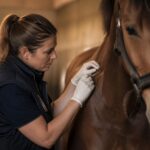 G4 – Vaccins et vermifuges