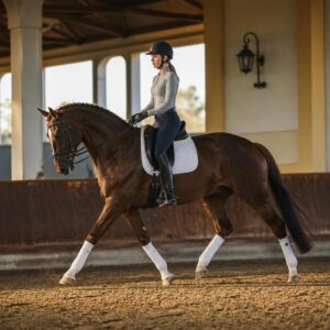 G5 – Allures en detail