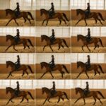 G7 – Locomotion