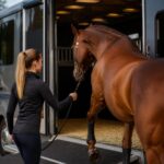 G7 – Transport chevaux