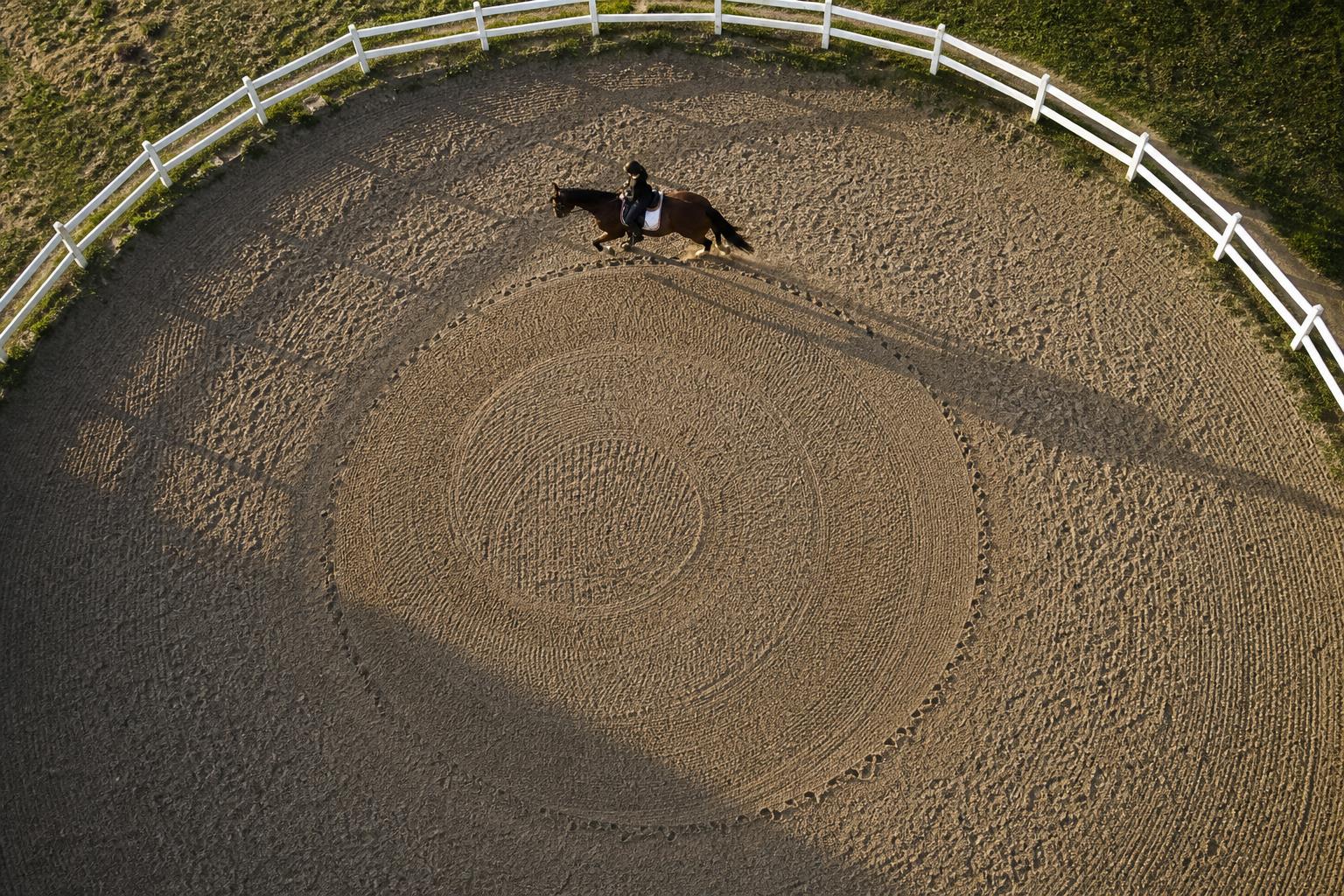 Comparatif des étriers d'équitation 2026 — Top 5 marques