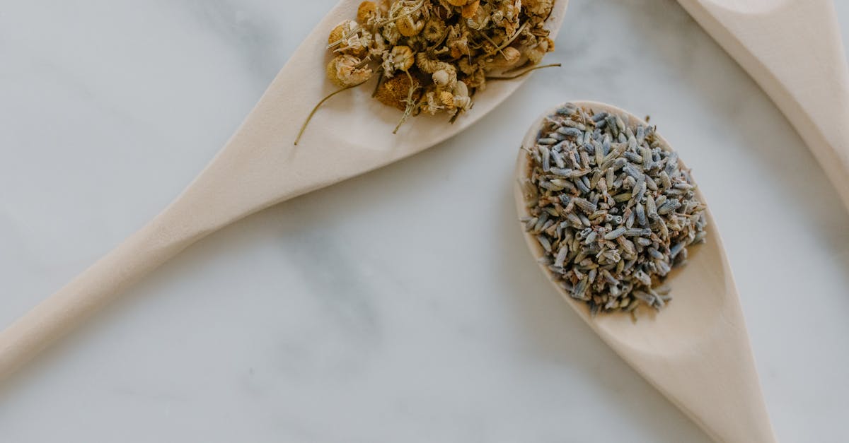 découvrez les bienfaits de la phytothérapie, une méthode naturelle utilisant les plantes pour améliorer votre santé et votre bien-être au quotidien.