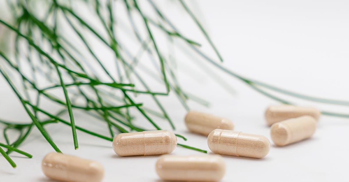 découvrez la phytothérapie, une méthode naturelle utilisant les plantes pour prévenir et traiter divers maux, et améliorer votre bien-être au quotidien.