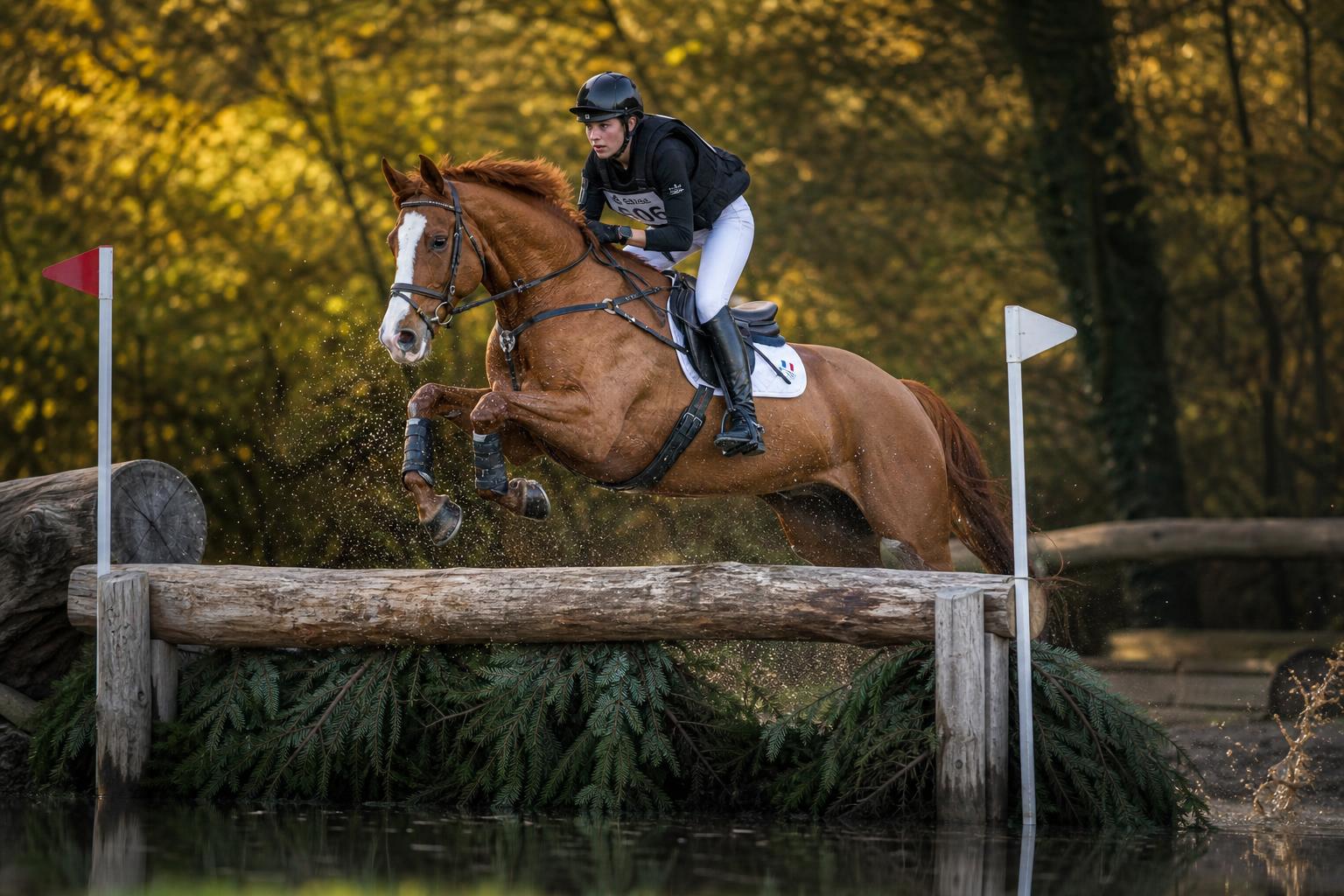 Cheval alezan franchissant un obstacle de cross en concours complet SHF