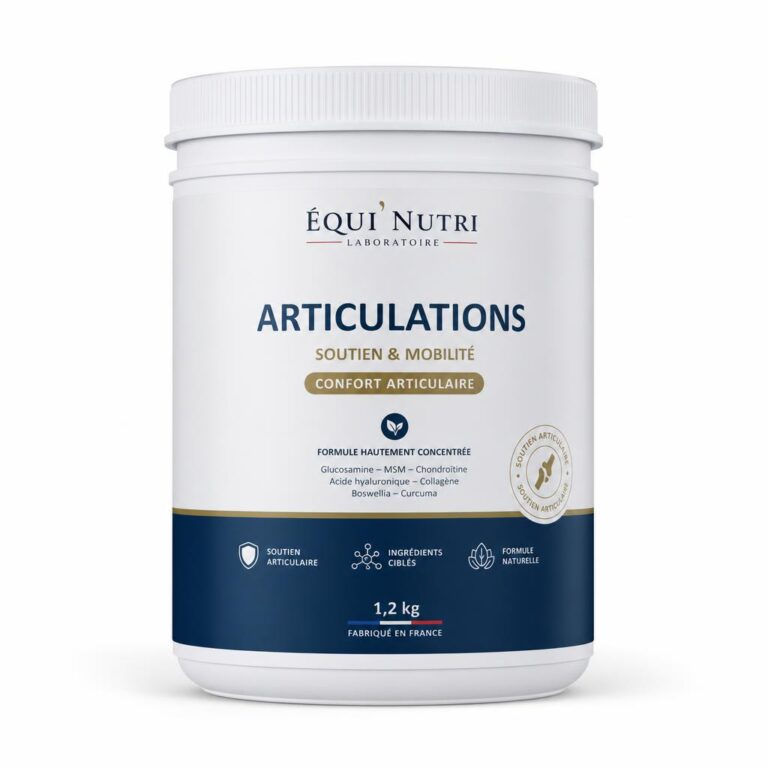 Hippolyte Articul Plus