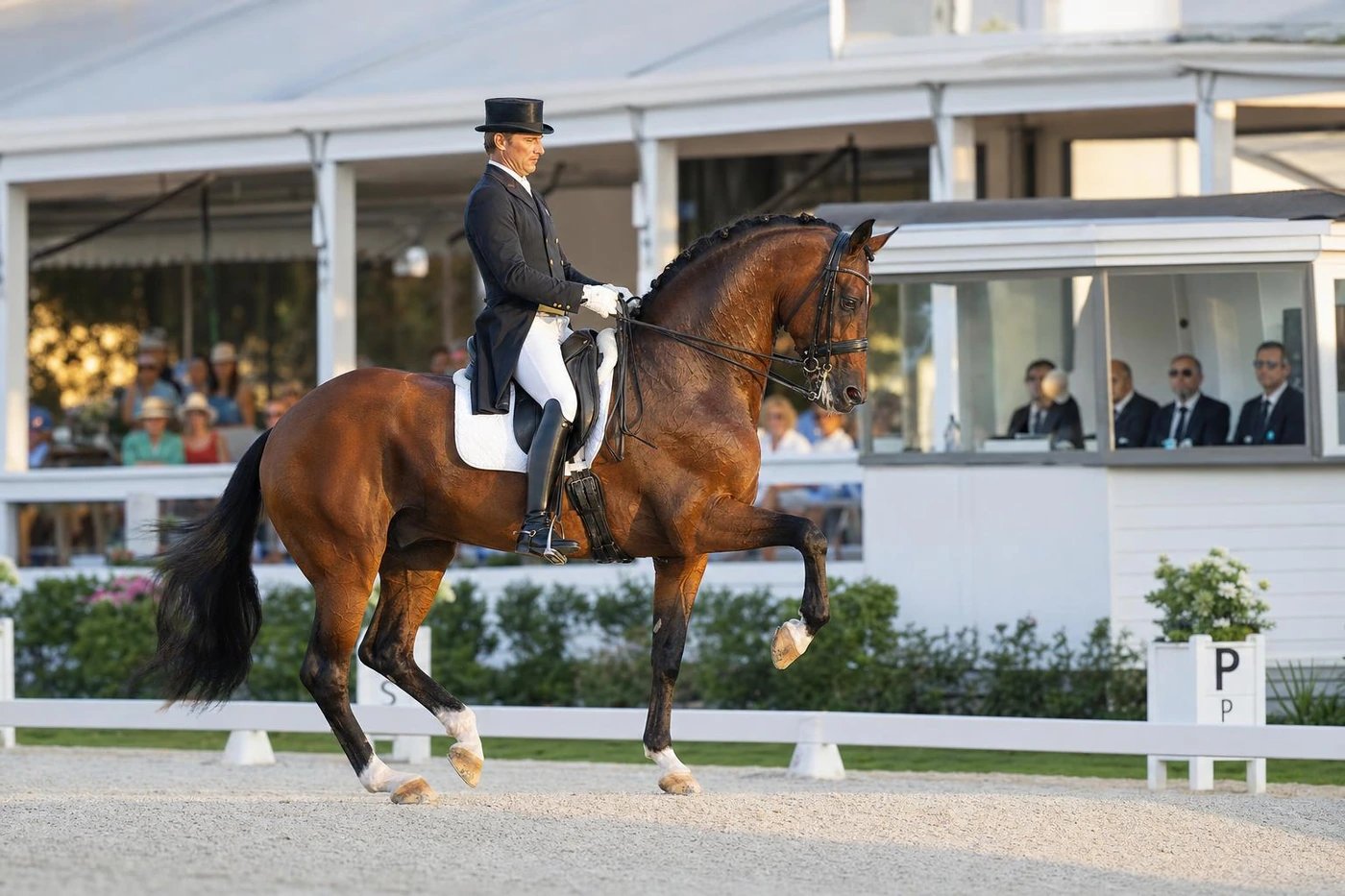 Dressage équestre