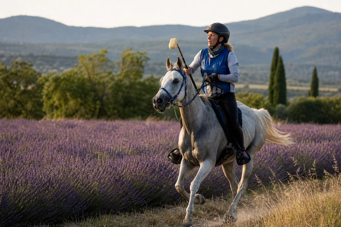 Endurance équestre