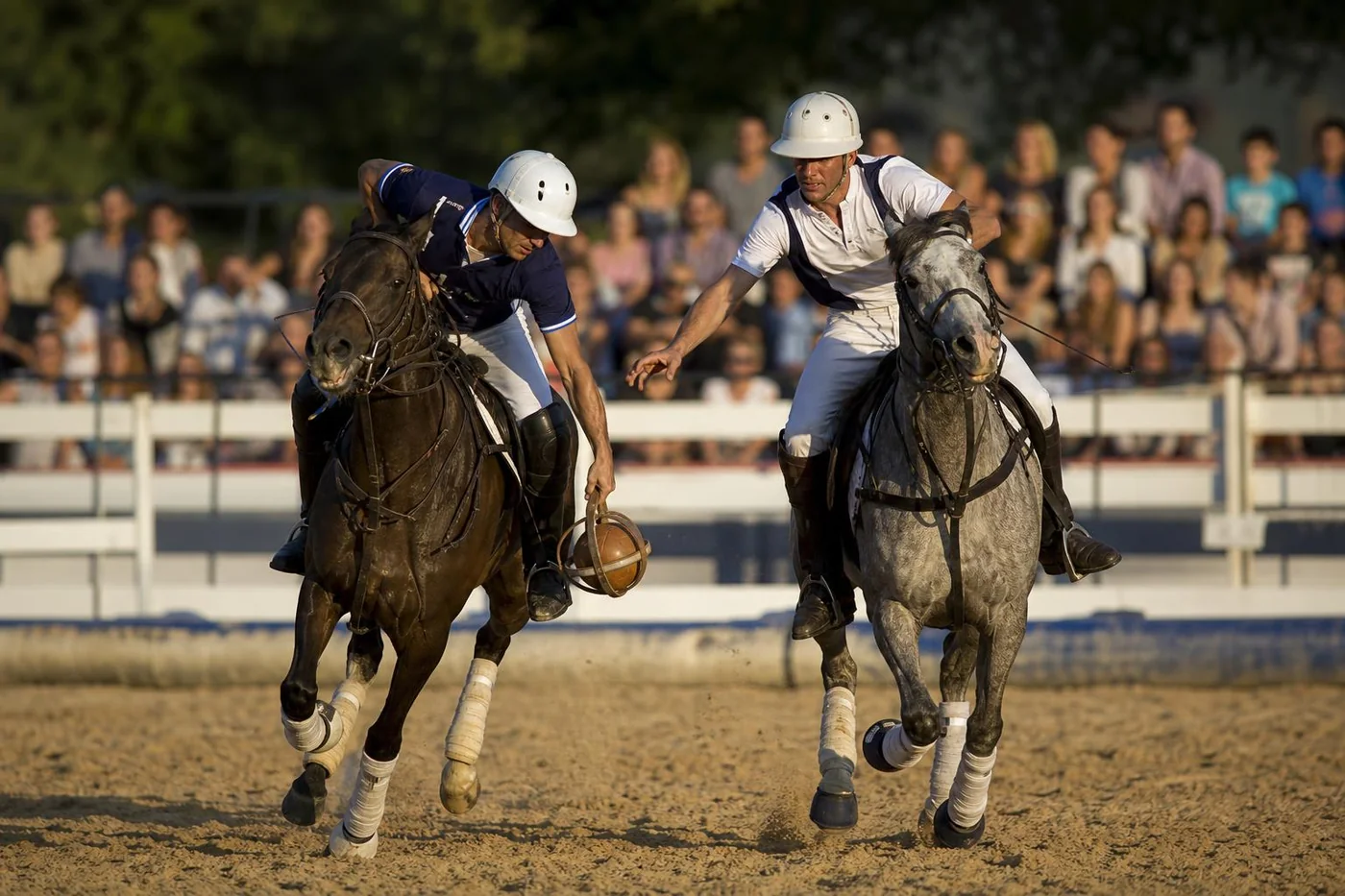 Horse Ball
