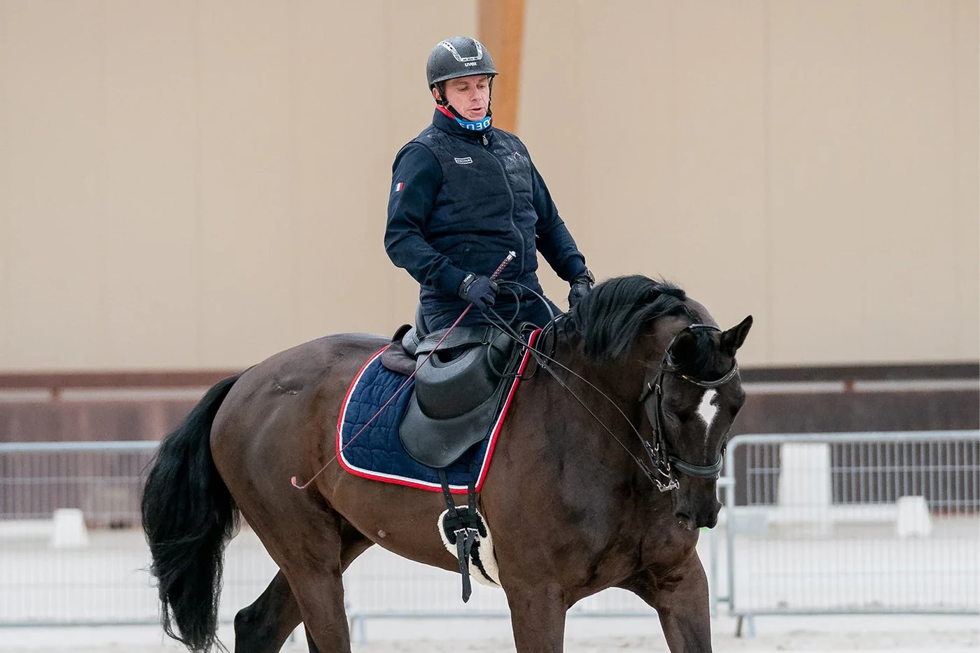 Para-Dressage