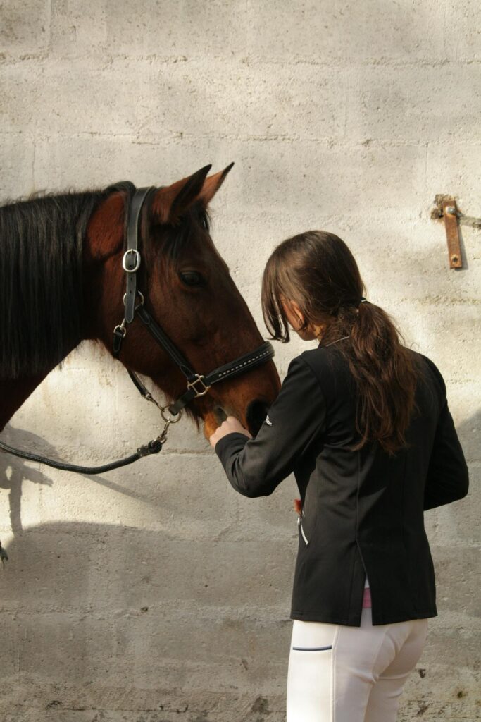 Zoé et Raven (Free Rein) : guide complet de la série Netflix