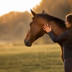 Quelles pratiques favorisent l’harmonie entre cavalier et cheval ?