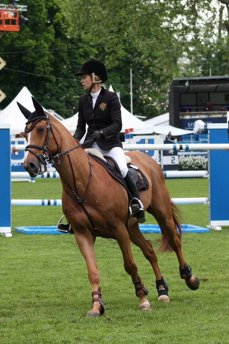Centres équestres et professionnels du cheval dans le Val de Loire