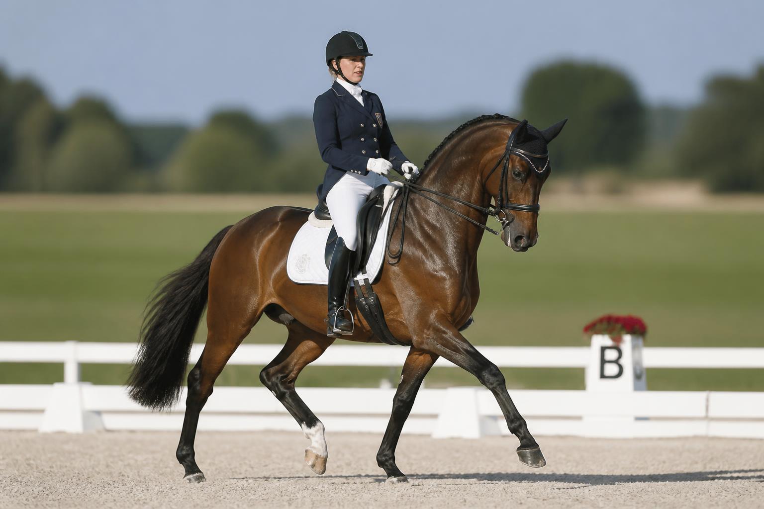 Cavalière en tenue de concours sur une reprise de dressage en carrière