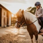 Comment choisir la selle de son poney : arcade, siège et taille