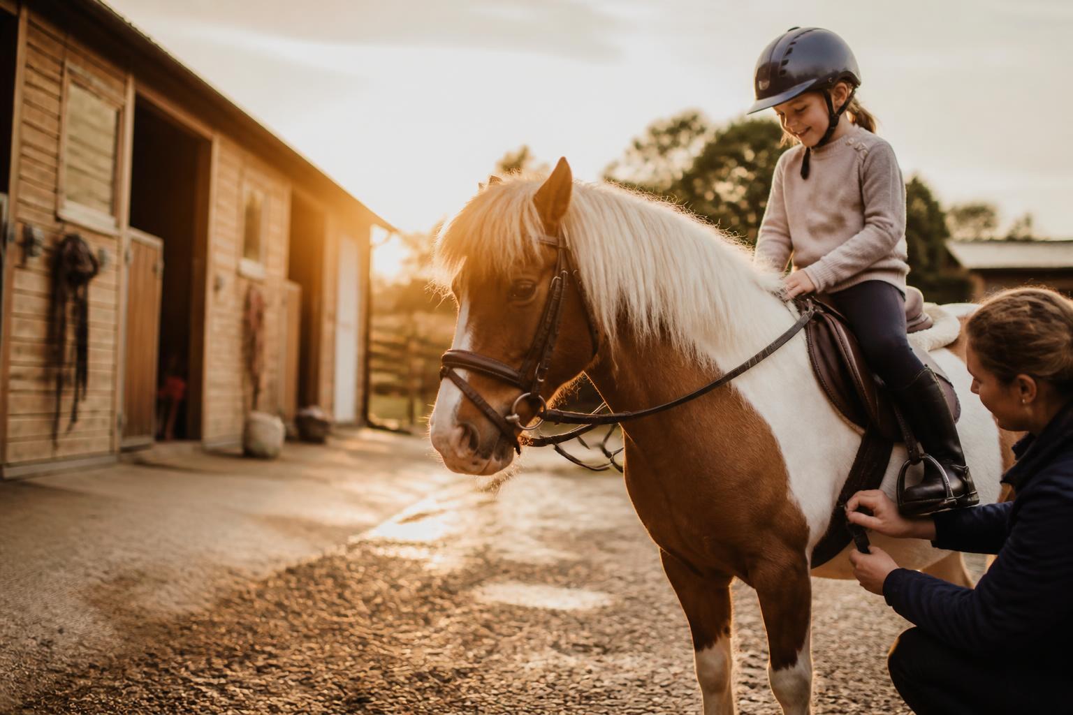 Essayage d'une selle sur un poney dans une cour d'écurie