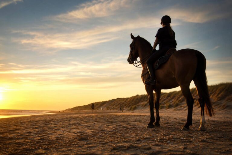 Cavalier de patrouille à cheval surveillant une plage du littoral français au coucher du soleil, dunes en arrière-plan