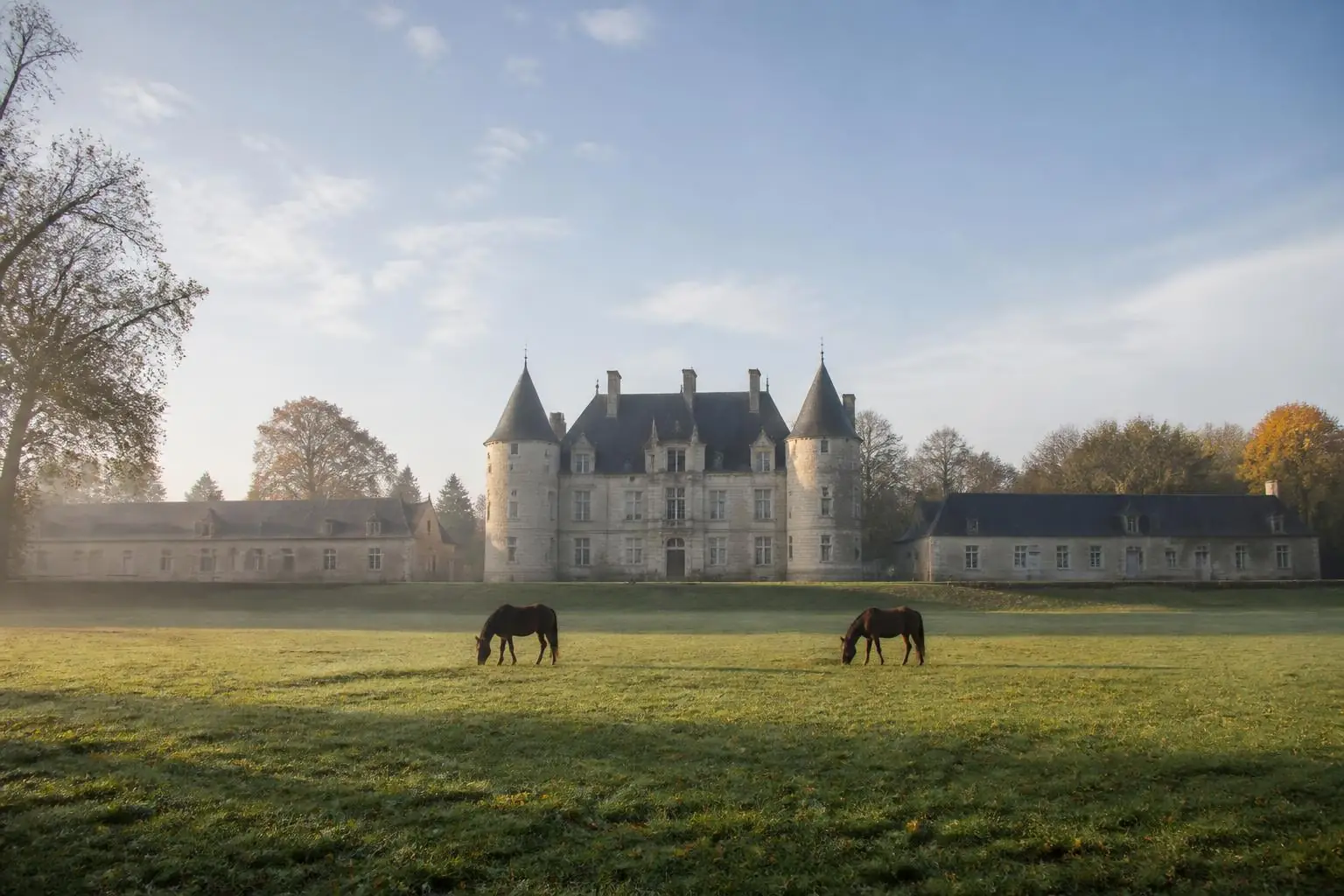 Château de pierre claire aux tours rondes et écuries basses derrière un pré où paissent deux chevaux bais dans la brume