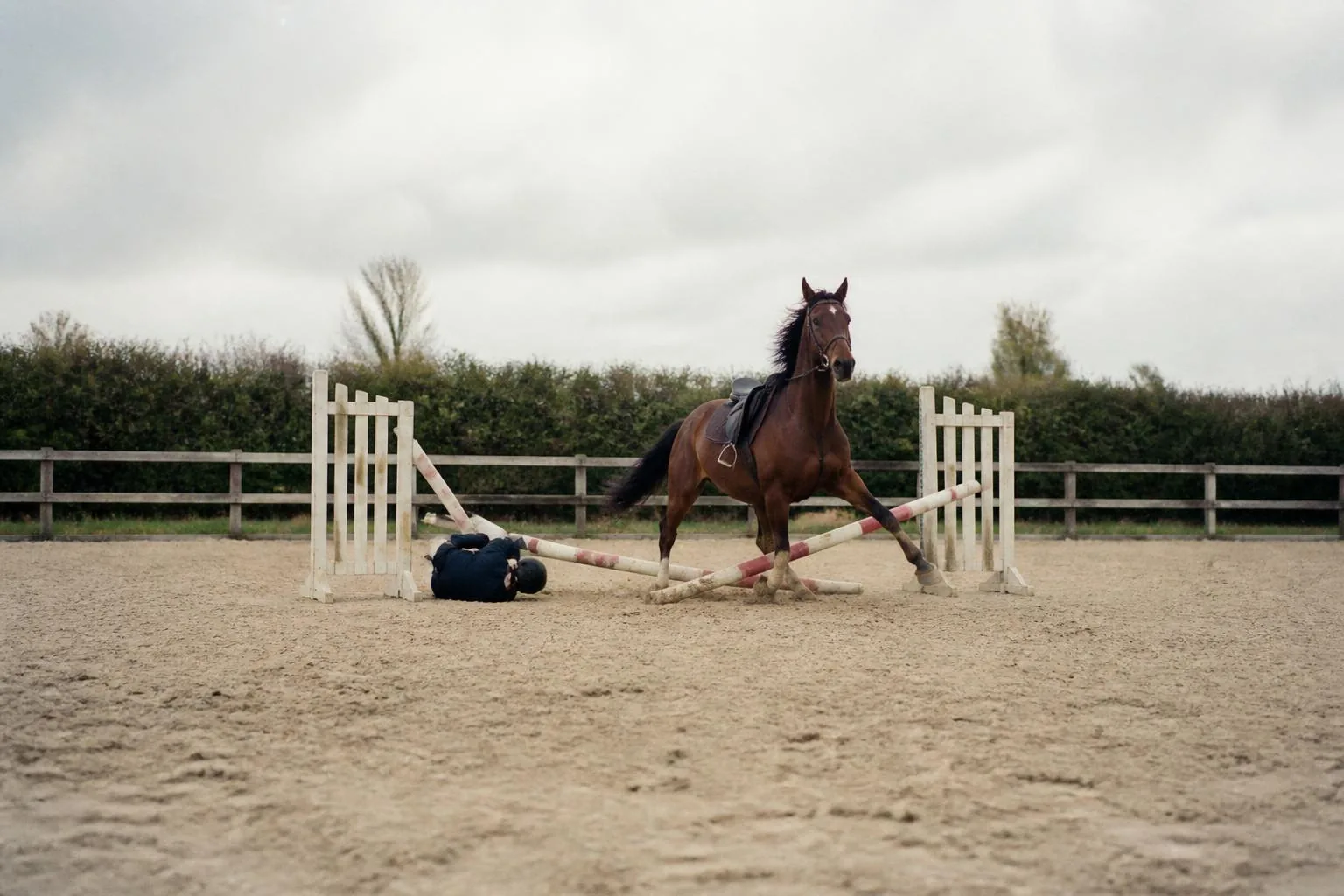 Cheval bai se relevant après avoir percuté un oxer, barres au sol, jeune cavalier casqué allongé sur le sable